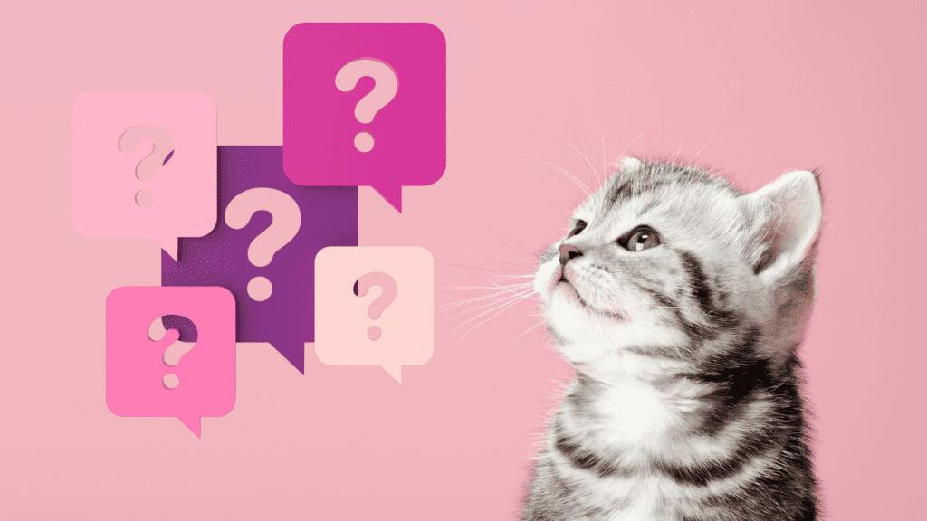 frquently asked questions on how long can house cats live