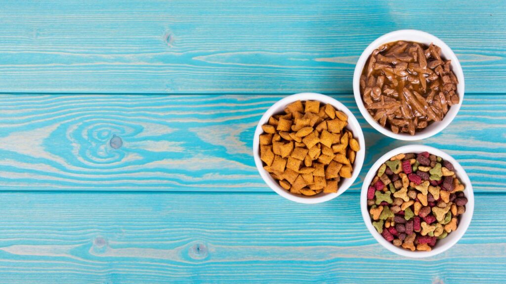 different cat foods for a balanced diet