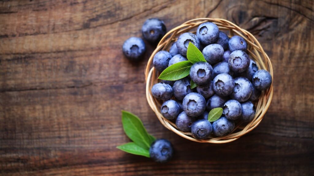 bowl of blueberries for your cat